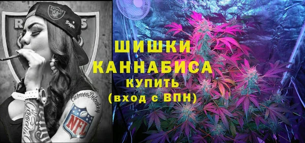 дживик Верея