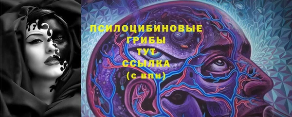 дживик Верея
