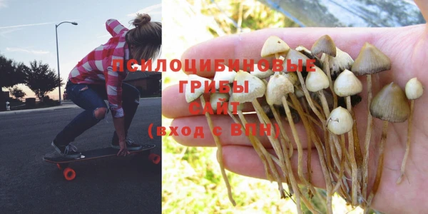 соль курить ск Бронницы