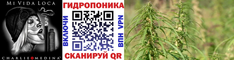 Марихуана SATIVA & INDICA  это клад  Губкинский 